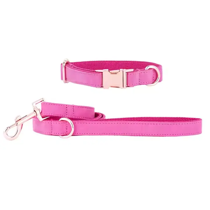 Dog Collar And Lead OEM Service Comfortable Nylon Leather Material Customized Made Dog Collar And Lead Set