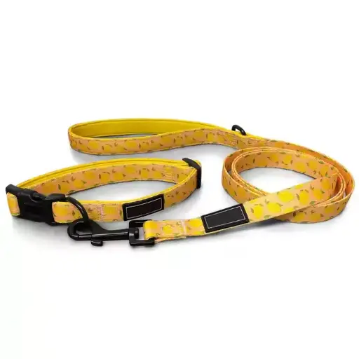 Dog Collar And Lead Lemon Color Good Selling Hand Made Premium Quality New Arrival Dog Collar And Lead 